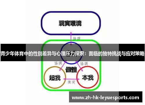 青少年体育中的性别差异与心理压力探索：面临的独特挑战与应对策略